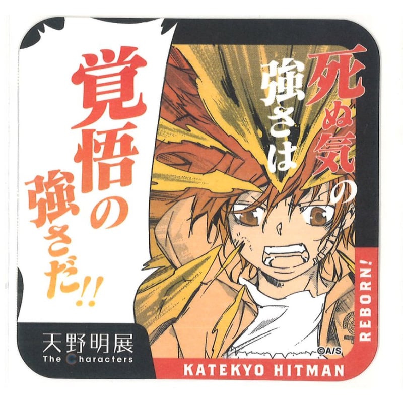 家庭教師ヒットマンREBORN! 天野明展 綱吉 コースター
