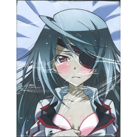 STORES インフィニット・ストラトスの検索結果