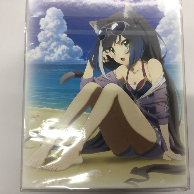 プリンセスコネクト！Re:Dive 限定収納BOX＆全巻セット プリンセスコネクト BD CyStore限定全巻購入特典 全巻収納BOX（BOXのみ