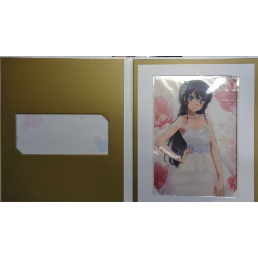 青春ブタ野郎はゆめみる少女の夢を見ない グッズセット 青春ブタ野郎はゆめみる少女の夢を見ない ANIPLEX+限定 連動購入特典
