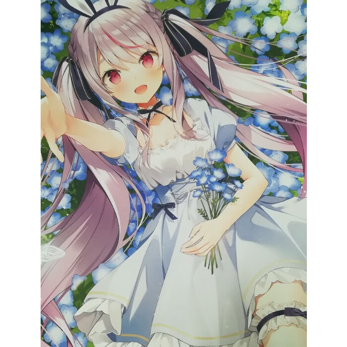 ぶいすぽっ！ 兎咲ミミ B2タペストリー 活動2周年記念グッズ | K-BOOKS