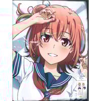 やはり俺の青春ラブコメはまちがっている。 ぽんかん⑧展 直筆サイン