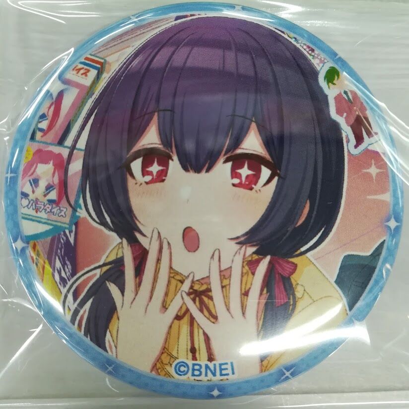 缶バッジ単品）シャイニーカラーズ 杜野凛世 缶バッジ 園田智代子と杜