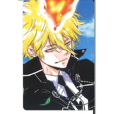 家庭教師ヒットマンリボーンccgX ゲーマーズ特典ブロマイド7枚セット