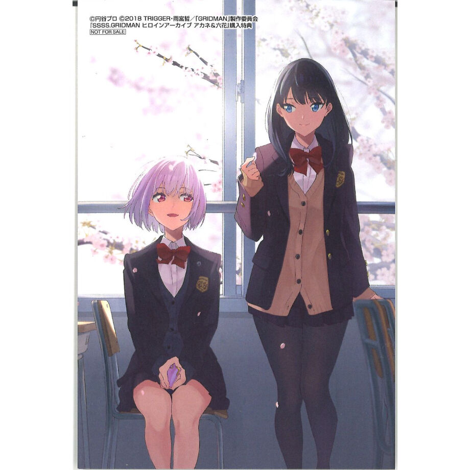 SSSS.DYNAZENON & GRIDMAN ヒロインアーカイブ Amazon.co.jp: SSSS.DYNAZENON & GRIDMAN ヒロインアーカイブ