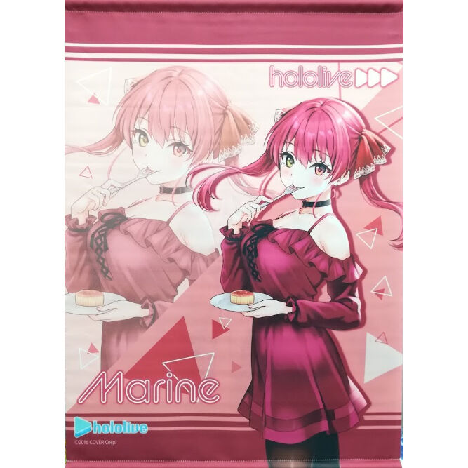 ホロライブタペストリーまとめ売りセットhololiveB2 A2