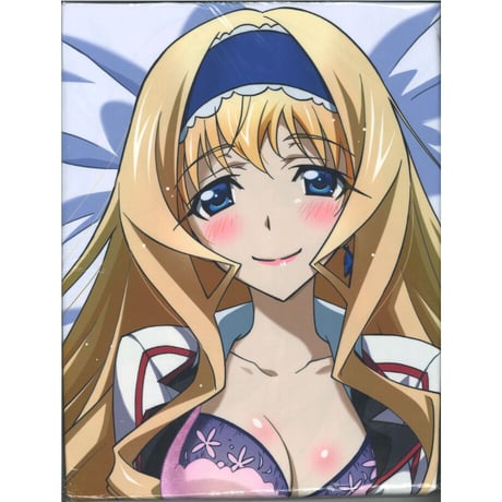 STORES インフィニット・ストラトスの検索結果