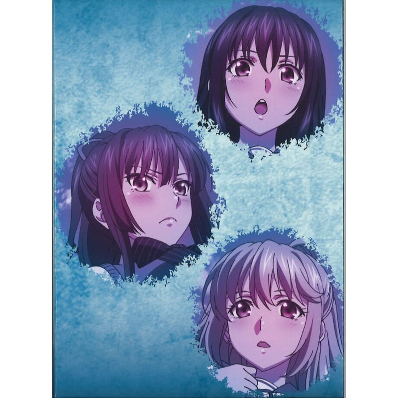 Blu-ray/DVD ストライク・ザ・ブラッドII OVA とらのあな 全巻購入特典