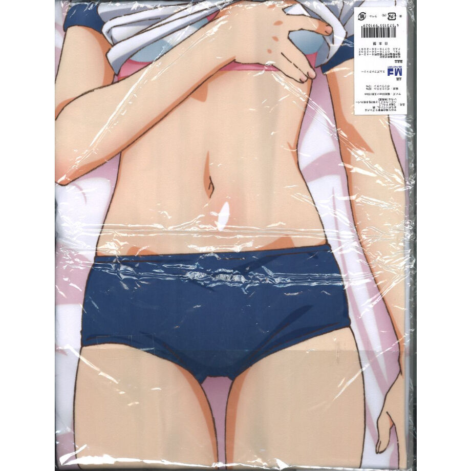 未開封）やはり俺の青春ラブコメはまちがっている。続 一色いろは 抱き