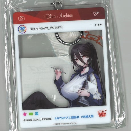 ブルアカ アル カヨコ グッズセット ブルアカ メモリアルパッケージ