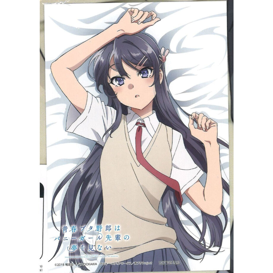 未開封・注意事項要確認)『青春ブタ野郎』シリーズ 抱き枕 未開封・注意事項要確認)『青春ブタ野郎』シリーズ 抱き枕