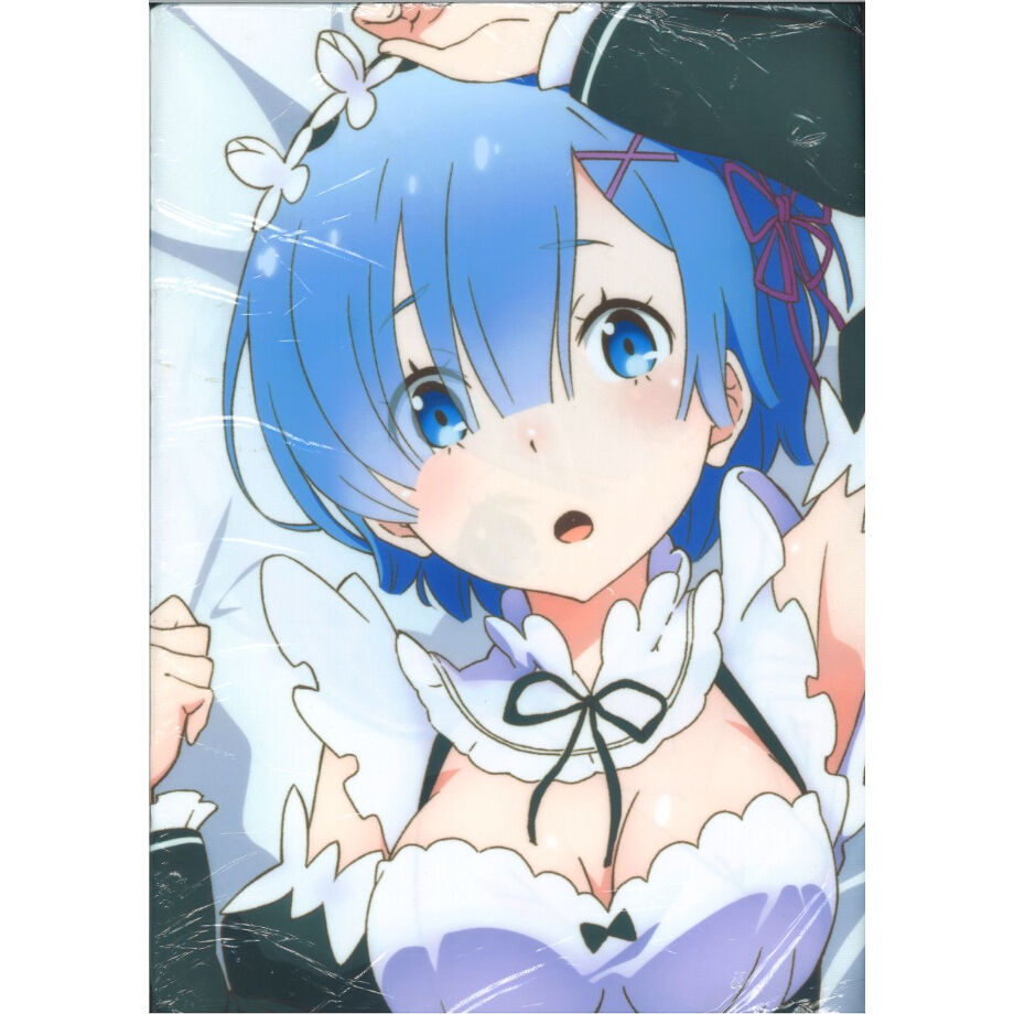 未開封 スリーブ Re:ゼロから始める異世界生活 リゼロ レム A クリアファイル (3枚1セット)/ Re：ゼロから始める異世界生活