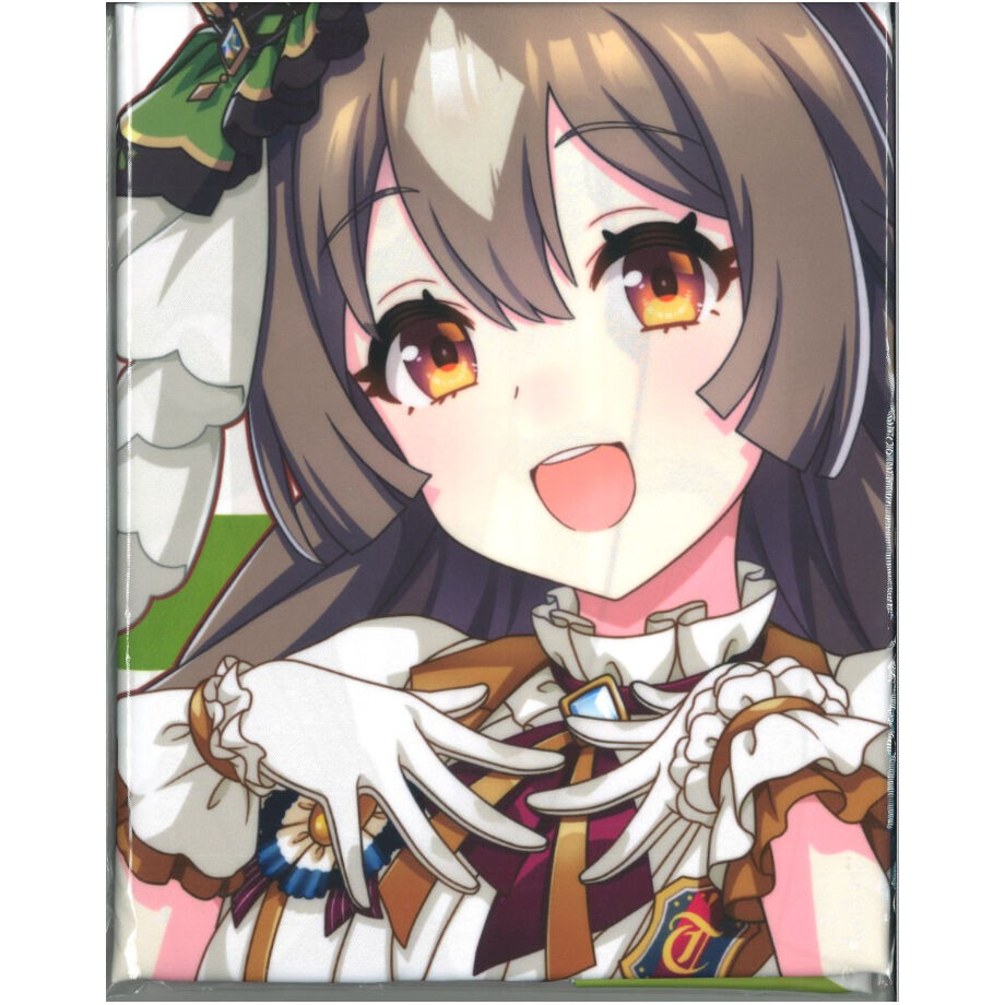 ウマ娘　4th ビッグ布ポスター　キタサンブラック/サトノダイヤモンド ウマ娘 4th イベント BIG布ポスター サトノダイヤモンド | K-BOOKS 秋葉原
