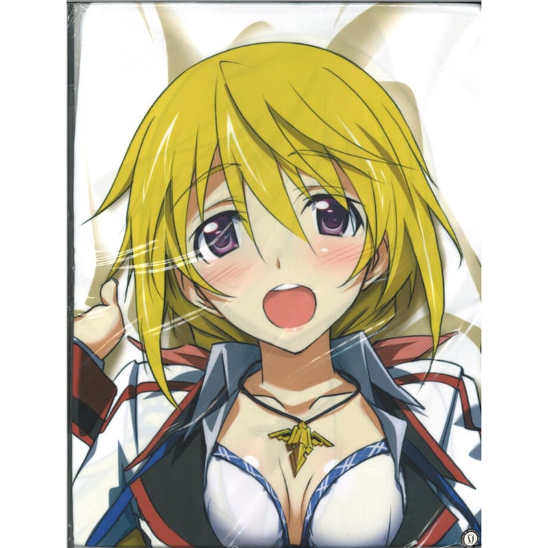 未開封）IS ＜インフィニット・ストラトス＞ シャルロット