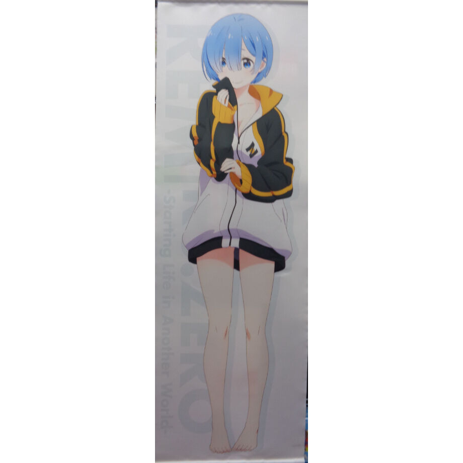 ⭐︎レム⭐︎ページ 1/8 ARCTECH可動シリーズ Re:ゼロから始める異世界生活 レム