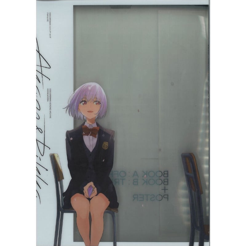 SSSS.GRIDMAN ヒロインアーカイブ | K-BOOKS 秋葉原
