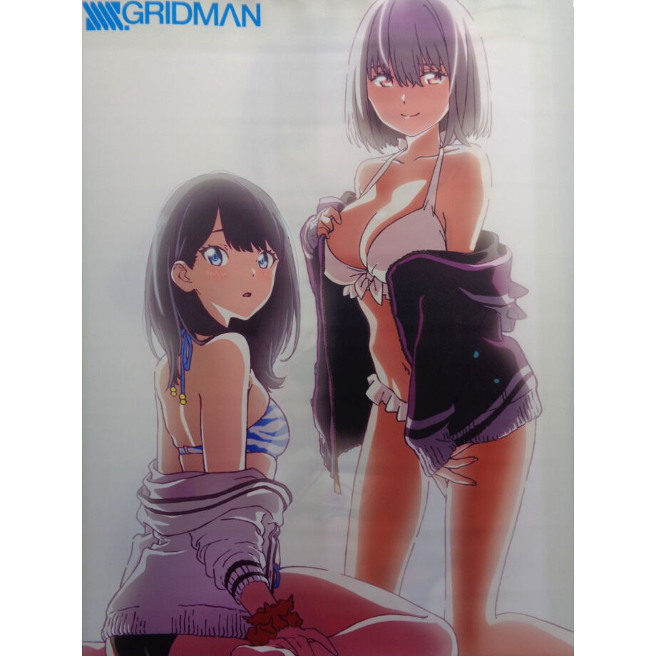 SSSS.GRIDMAN B2タペストリー 水着/制服半脱ぎ | K-BOOKS 秋葉原