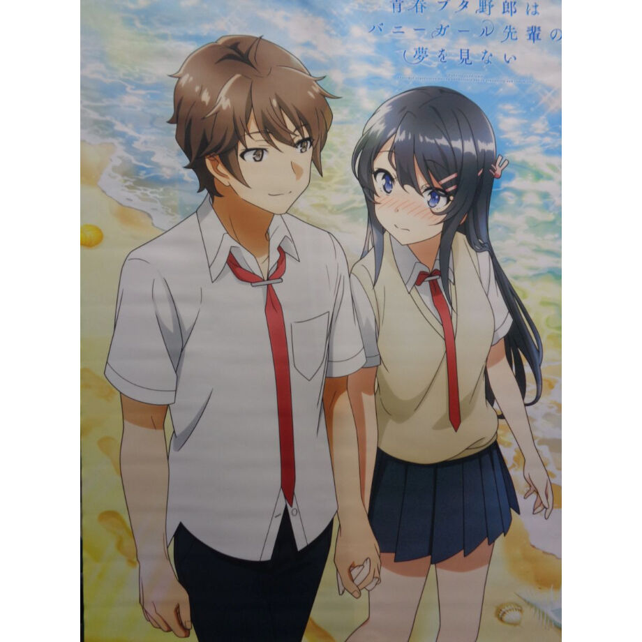 [当選品] 青春ブタ野郎はバニーガール先輩の夢を見ない Ｂ2 タペストリー fit=scale-down,w=1200