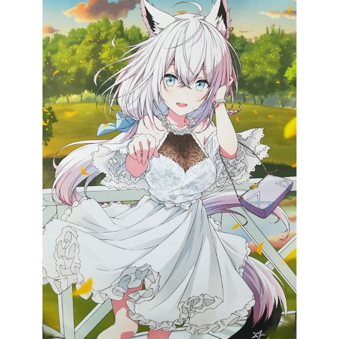 ホロライブ 白上フブキ B2タペストリー誕生日記念2021 | K-BOOKS 秋葉原