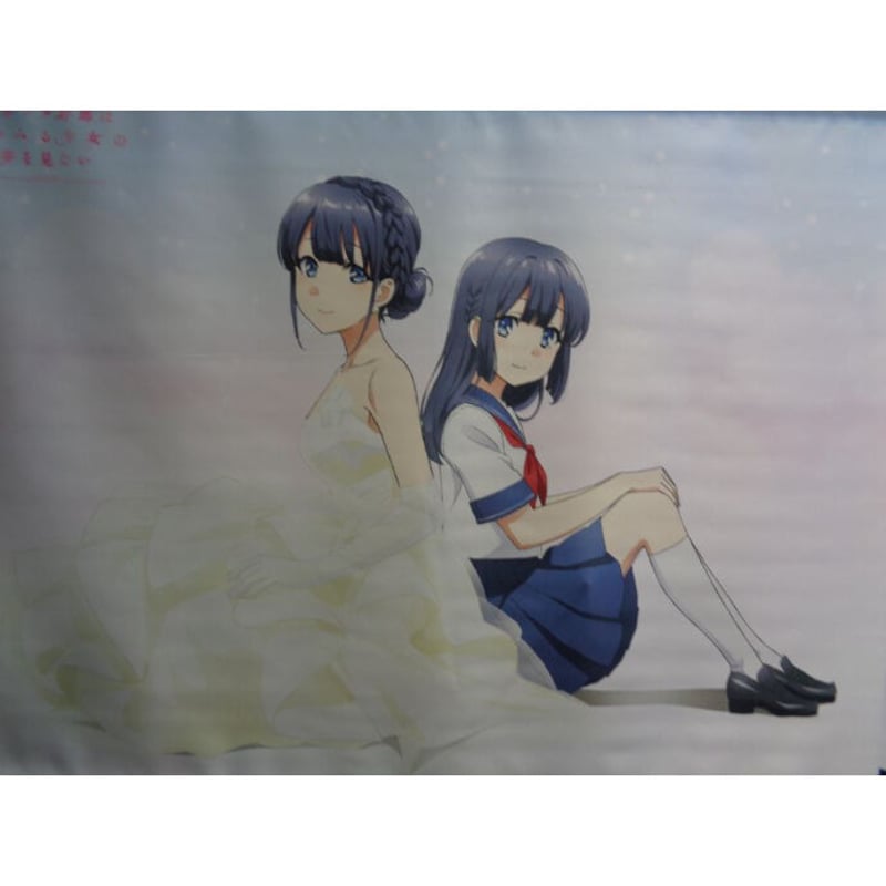 青春ブタ野郎はゆめみる少女の夢を見ない 非売品　B2ポスター Amazon.co.jp: 劇場版 映画 青春ブタ野郎はゆめみる少女の夢を見