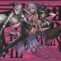 サークル：竹箒（武内崇・奈須きのこ先生）コミケ100 セット | K-BOOKS