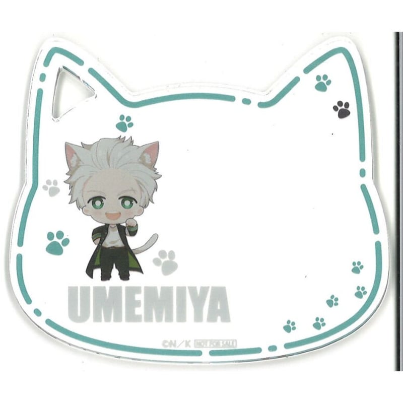 WIND BREAKER ナンジャタウン　缶バッジ　アクリルコースター　梅宮 TVアニメ『WIND BREAKER』 描き下ろし缶バッジ[梅宮一]