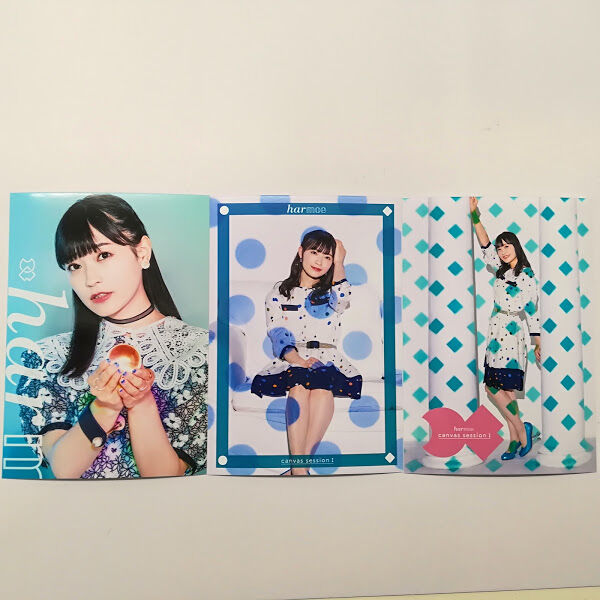 岩田陽葵 ブロマイドセット harmoe canvas session Ⅰ | K-BOOK