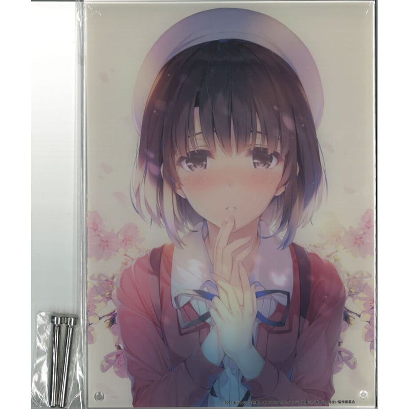 冴えない彼女の育てかた Fine アクリルアート 冴えない彼女の育てか