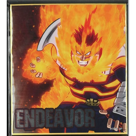 エンデヴァー | STORES