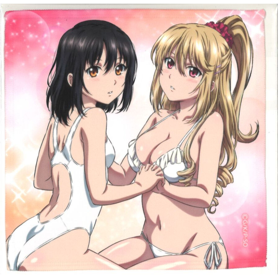 ストライク・ザ・ブラッド　タペストリー　姫柊雪菜　藍羽浅葱 ビキニメイド姿で悩殺！『ストライク・ザ・ブラッド FINAL』より