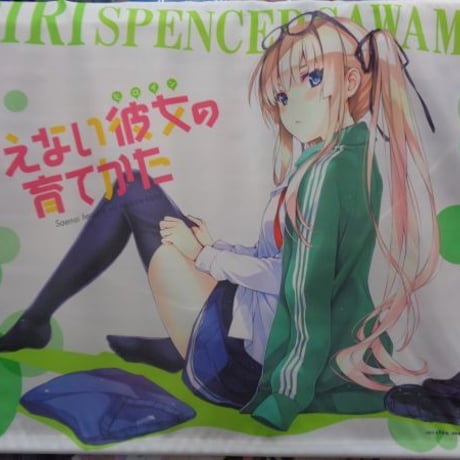 【非売品】冴えない彼女の育てかた 深崎暮人 英梨々 ロング サイズ ポスター 非売品】冴えない彼女の育てかた 霞ヶ丘詩羽 ロング サイズ 二
