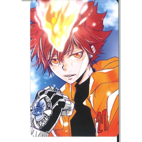 天野明展 購入特典 自撮り風カード 沢田綱吉 ツナ＆ナッツ 自撮り