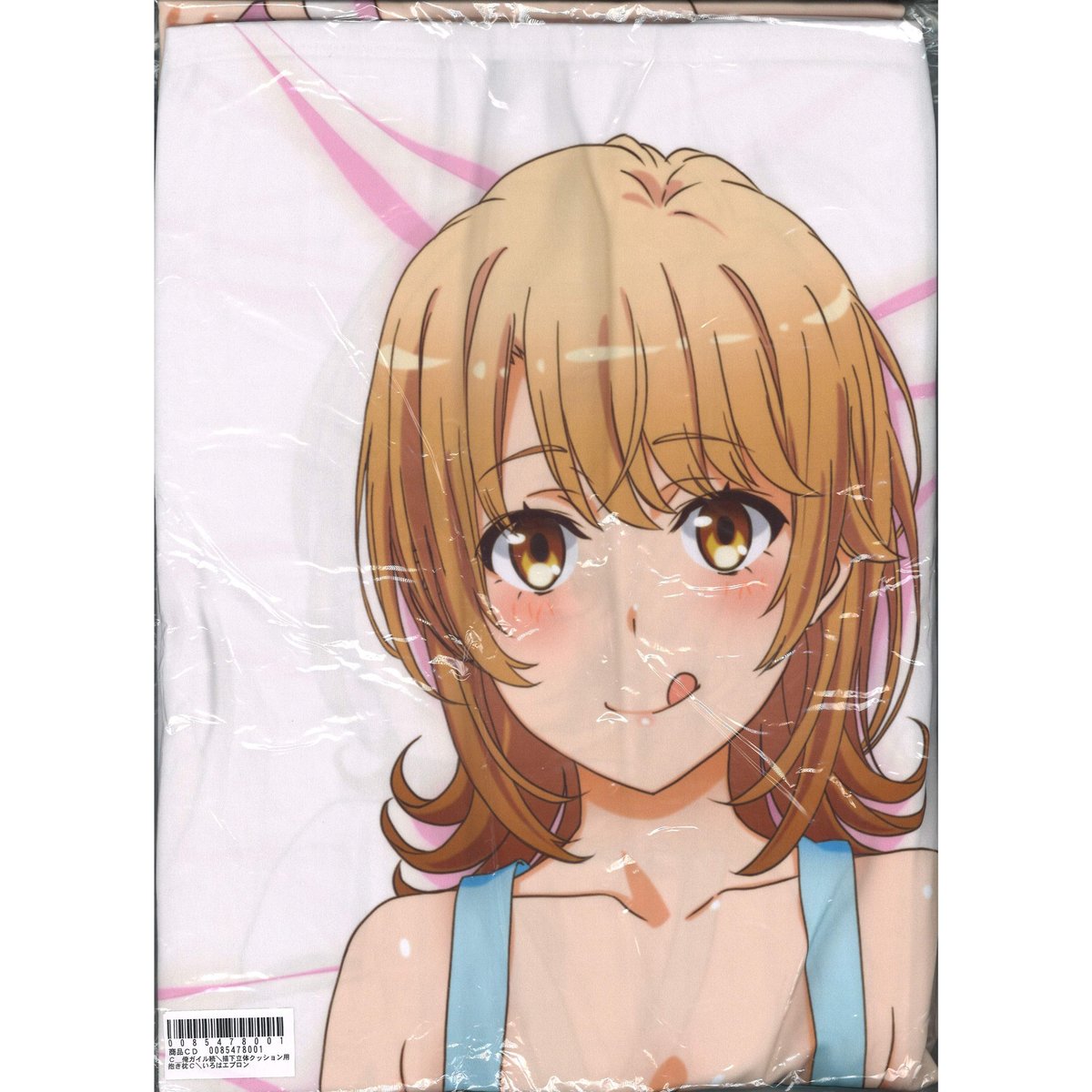 やはり俺の青春ラブコメはまちがっている。続／描き下ろし立体  