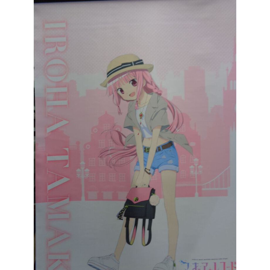 マギアレコード 魔法少女まどか☆マギカ外伝 B2タペストリー／環いろは 