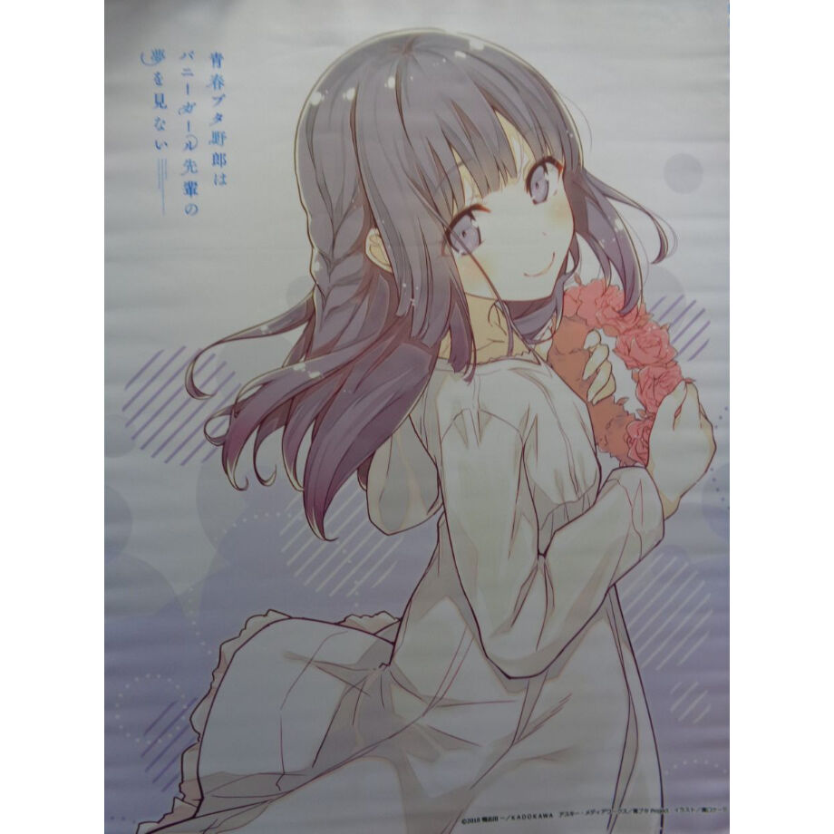 限定 レア 青春ブタ野郎はバニーガール先輩の夢を見ない 牧之原翔子 タペストリー 青春ブタ野郎はバニーガール先輩の夢を見ない B2タペストリー （牧之原