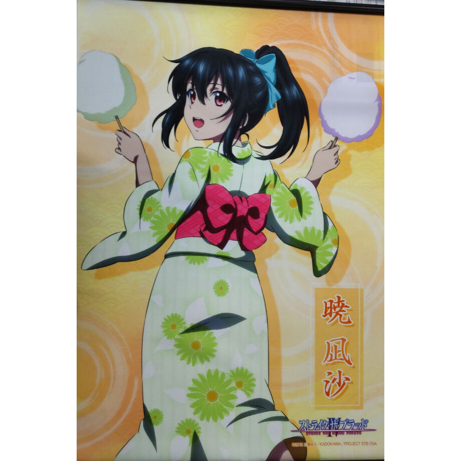 C91ストライクザブラッドイラスト本とトートバッグのみ C91ストライクザブラッドイラスト本とトートバッグのみ