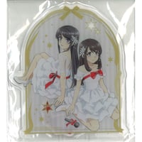 志乃と恋」2巻発売記念ストア in ゲーマーズ 抽選会 当選 特大アクリル