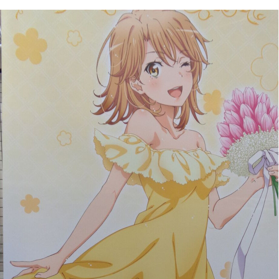 やはり俺の青春ラブコメはまちがっている　タペストリー  一色いろは 41zDp+nECLL._UF350,350_QL50_.jpg