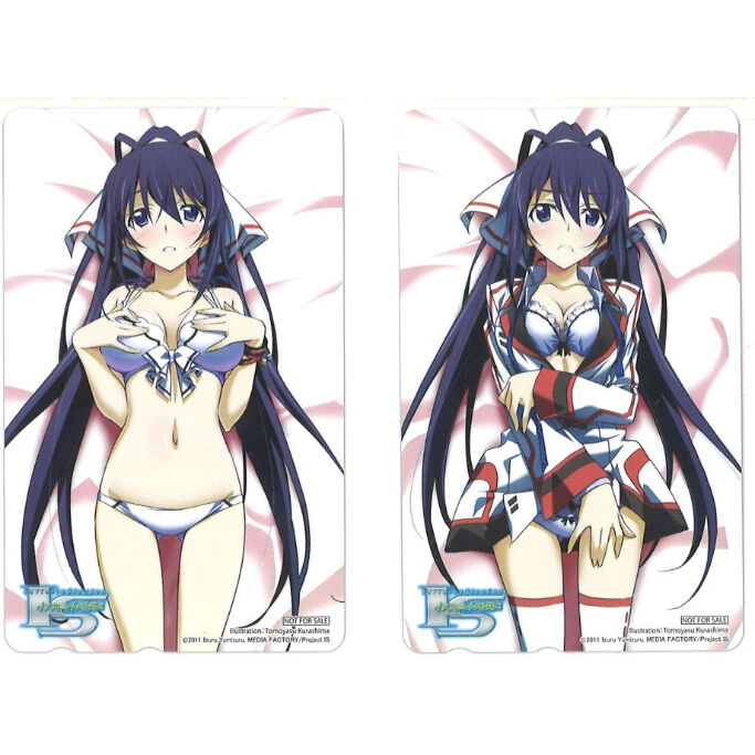 未開封）IS＜インフィニット・ストラトス＞篠ノ之箒 抱き枕カバー 2way