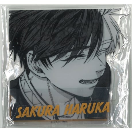 WIND BREAKER 桜遥　原作　文房具カフェ　ウィンブレ展　アクスタ WIND BREAKER 桜遥 原作 文房具カフェ ウィンブレ展 アクスタ TV