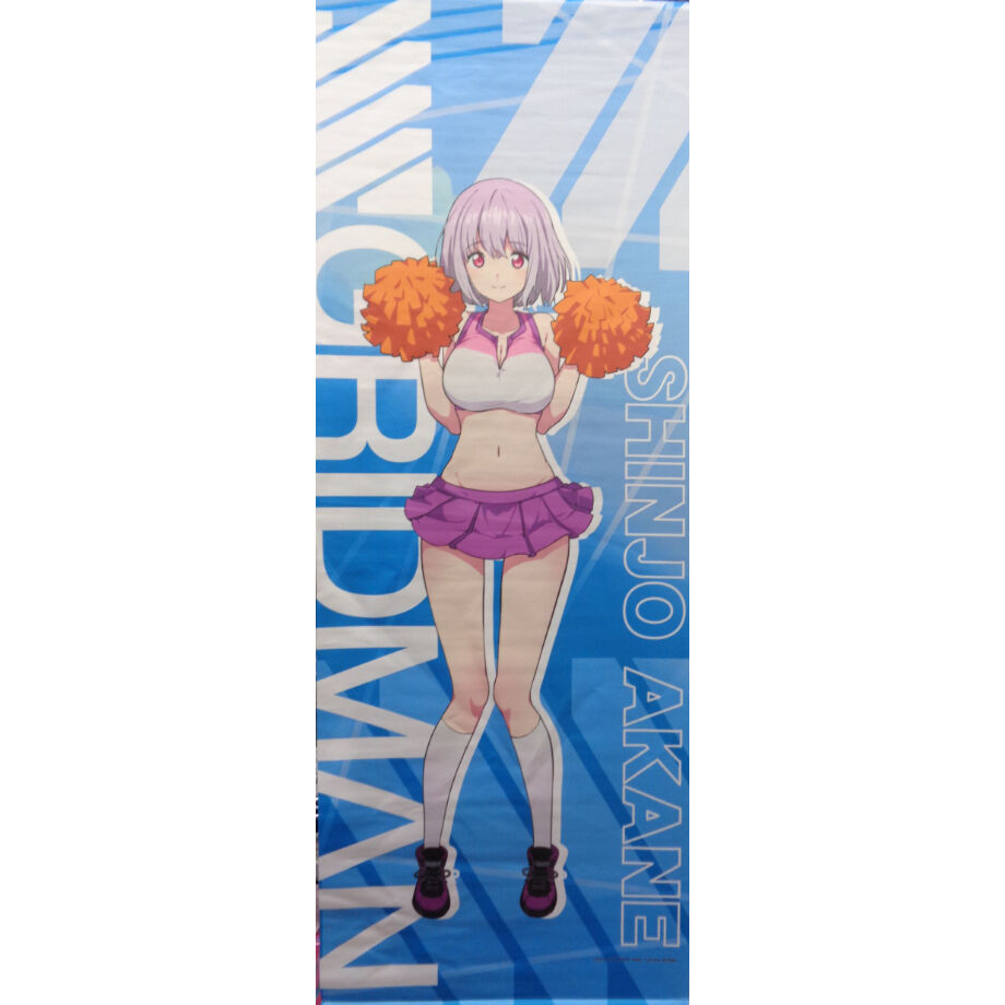 SSSS.GRIDMAN くじメイト A賞 ロングタペストリー 新条アカネ ②