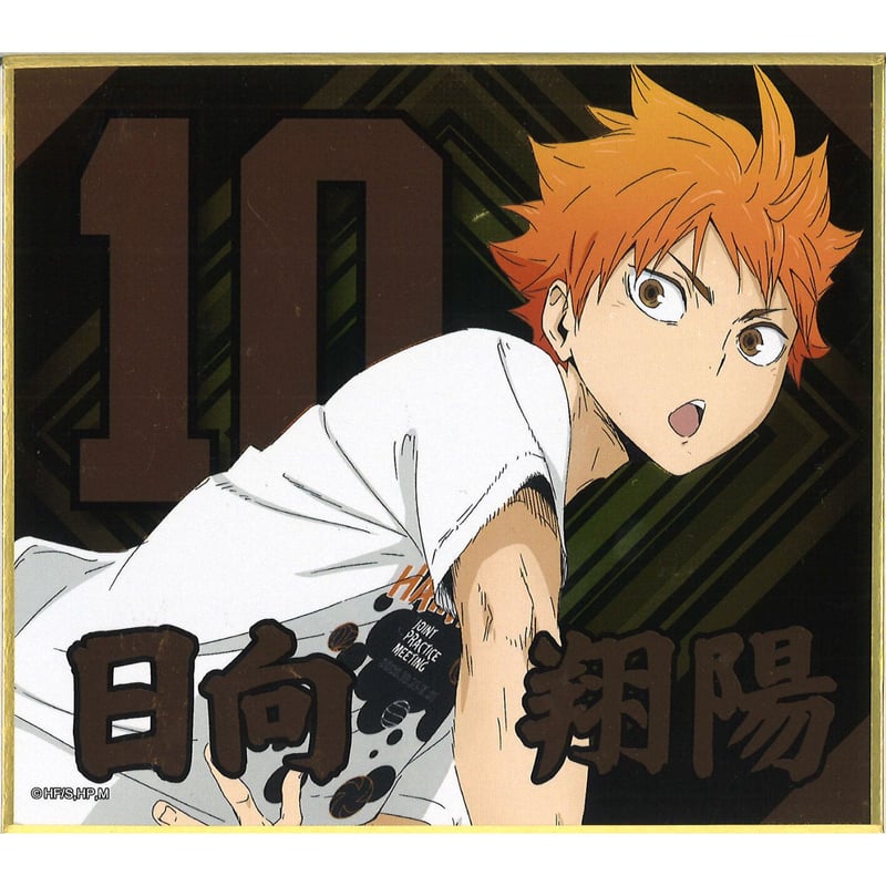 ハイキュー‼︎ アクリルバッジコレクショ2016Ver. 日向翔陽 ハイキュー