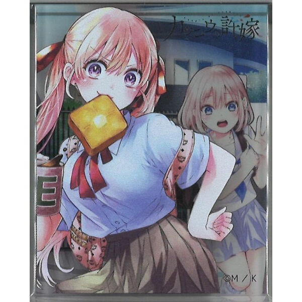 ★【未使用】カッコウの許嫁 A4キャラファイングラフ 天野エリカ カッコウの許嫁 描き下ろしクリアファイル 天野エリカ[ペンギン