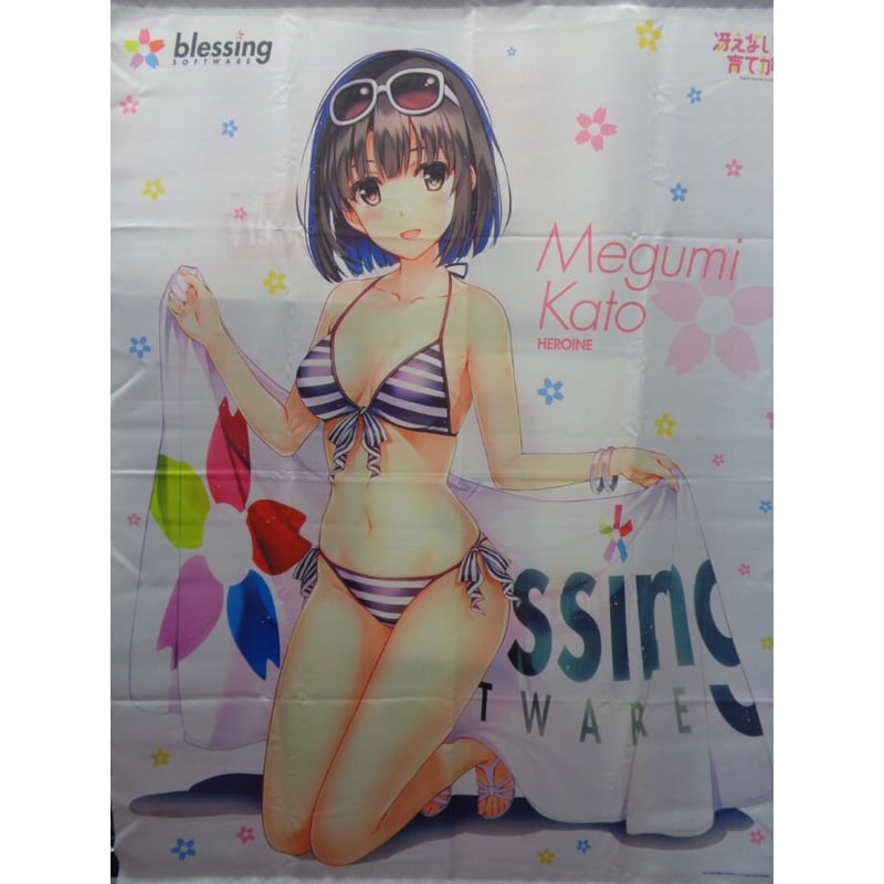 汚れあり）冴えない彼女の育てかた♭ 深崎暮人描き下ろし等身大  