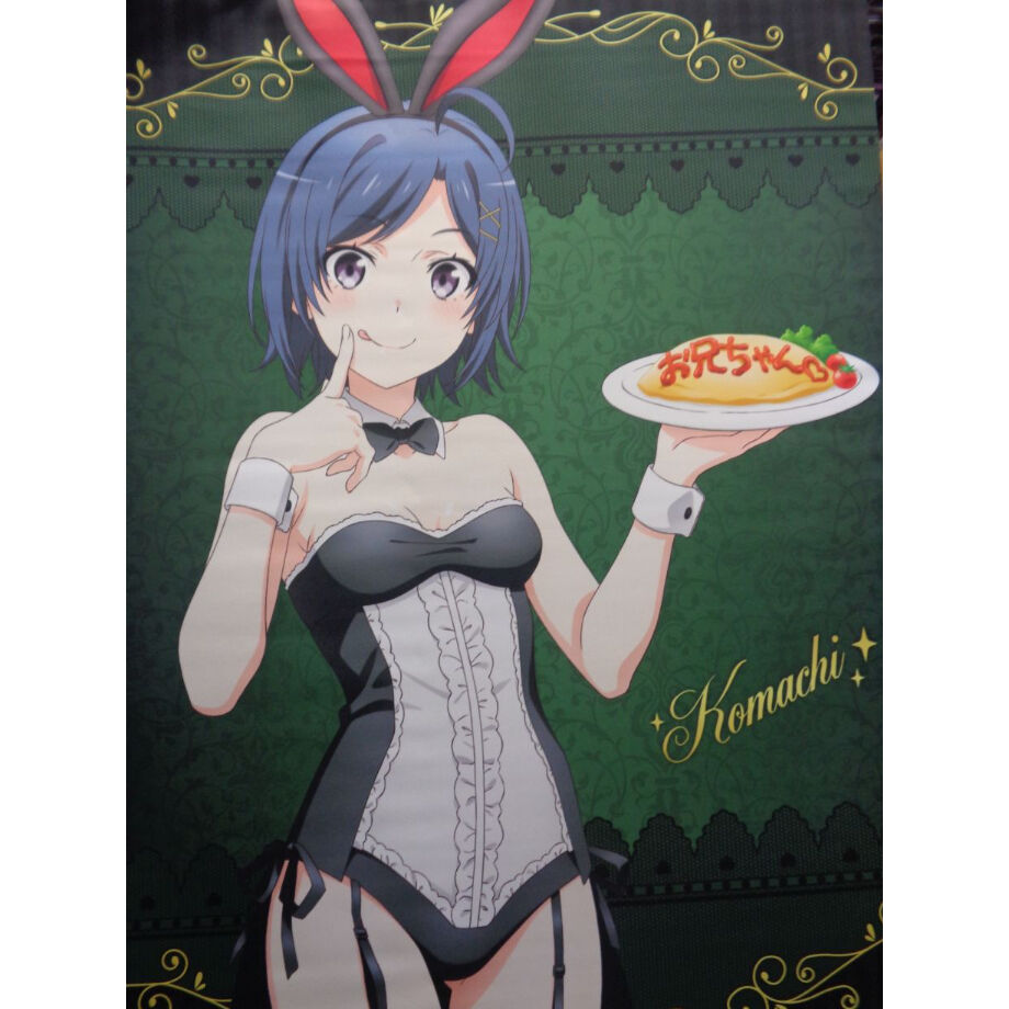 やはり俺の青春ラブコメはまちがっている。完 B2タペストリー ④比企