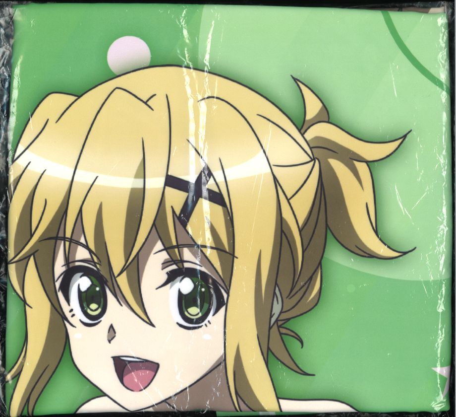 未開封）戦姫絶唱シンフォギアXV 特大布ポスター 暁切歌 SEASIDE