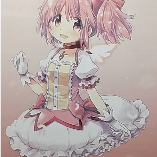 魔法少女まどか☆マギカ10（展） 蒼樹うめ先生イラスト ビッグ
