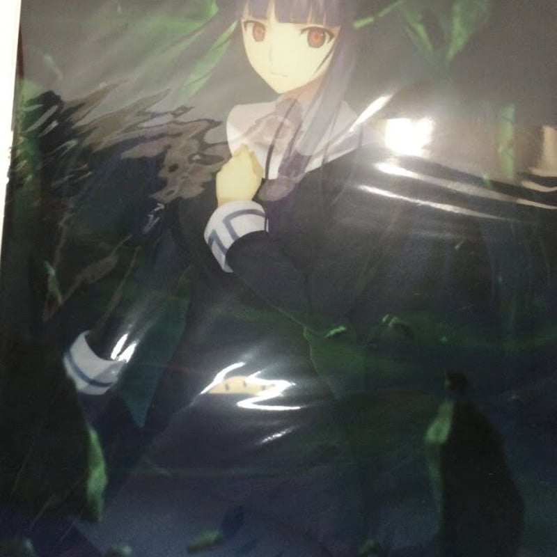 空の境界 歪曲の魔眼 概念礼装 複製原画付クリアファイル | K