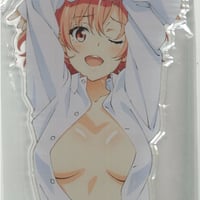未開封）やはり俺の青春ラブコメはまちがっている。完 抱き枕カバー