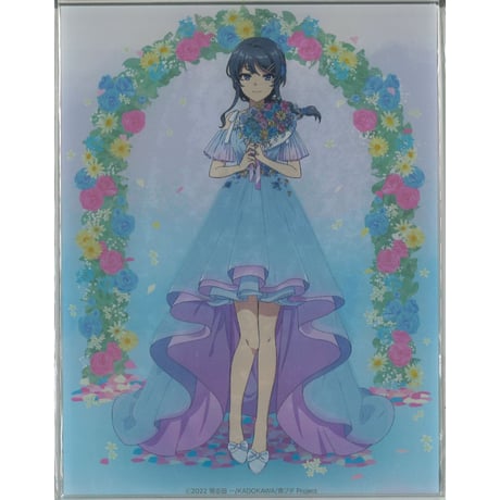 CATEGORY 青春ブタ野郎シリーズ | K-BOOKS 秋葉原